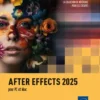 After Effects 2025 - pour PC et Mac
