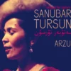 AlbumCD 12 CM LP Arzu