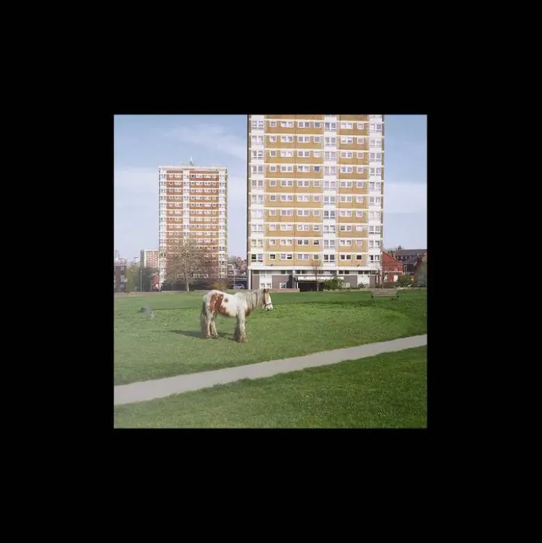 AlbumCD 12 CM LP It Goes On