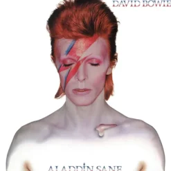 Album33 T 30 CM Aladdin Sane