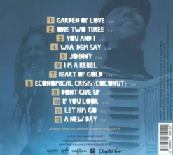 Album33 T 30 CM A New Day