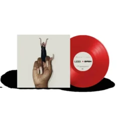 Album33 T 30 CM Bitch - Vinyle Standard
