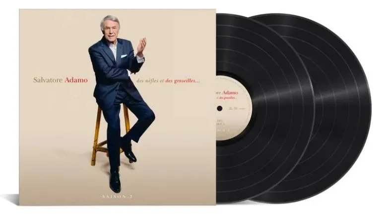 Album33 T 30 CM Des nèfles et des groseilles...