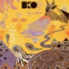 Album33 T 30 CM DJINE BORA (vinyl)