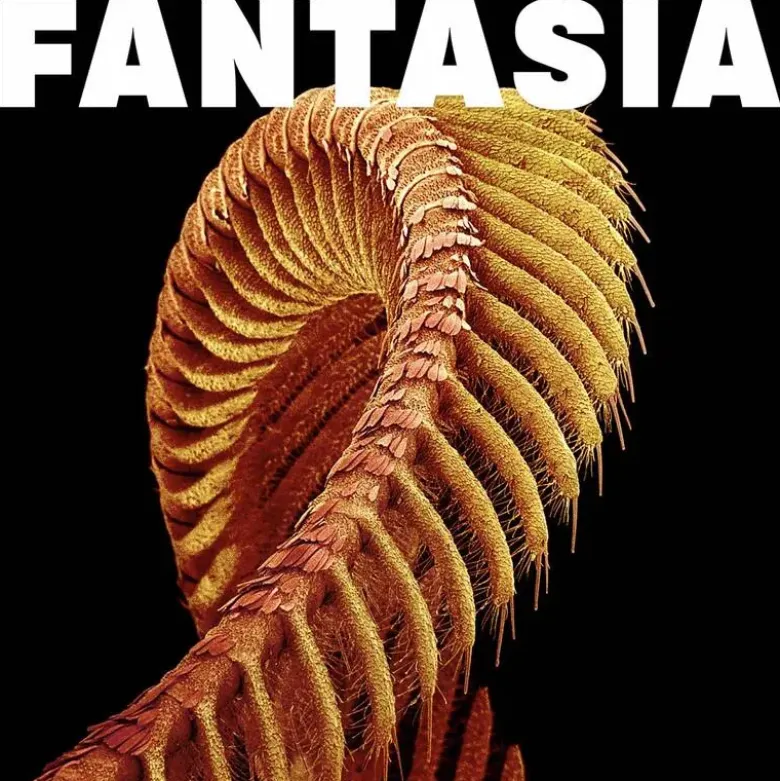 Album33 T 30 CM Fantasia - Vinyle Bleu Paillettes