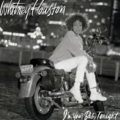 Album33 T 30 CM I'm Your Baby Tonight