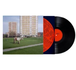 Album33 T 30 CM It Goes On