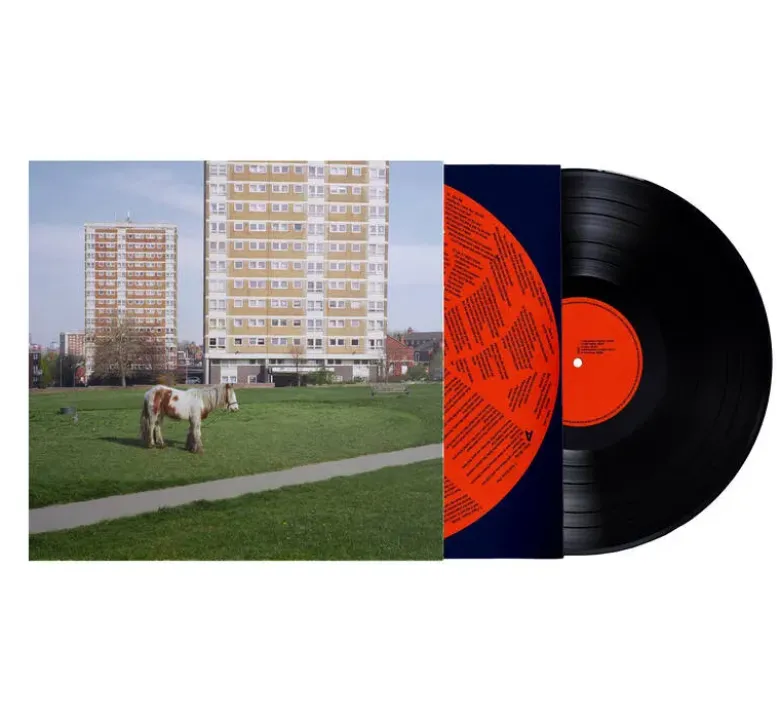 Album33 T 30 CM It Goes On