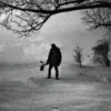 Album33 T 30 CM M.A.N (Black Roses & Lost Feelings)
