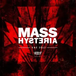 Album33 T 30 CM Vae Soli (Hellfest 2024)
