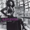 Album33 T 30 CM Wanted Blaxploitation