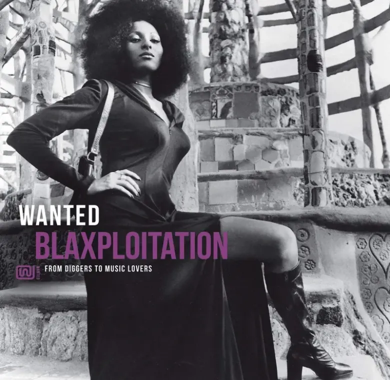 Album33 T 30 CM Wanted Blaxploitation