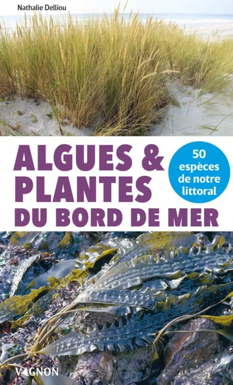 Algues et plantes du bord de mer - 50 espèces de notre littoral