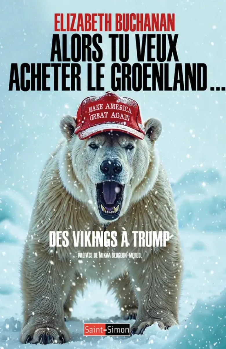 Alors tu veux acheter le Groenland... - Des Vikings à Trump