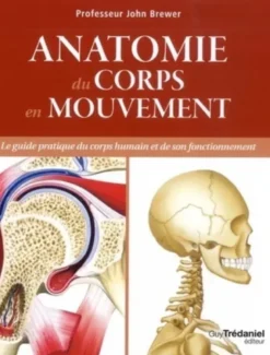 Anatomie du corps en mouvement