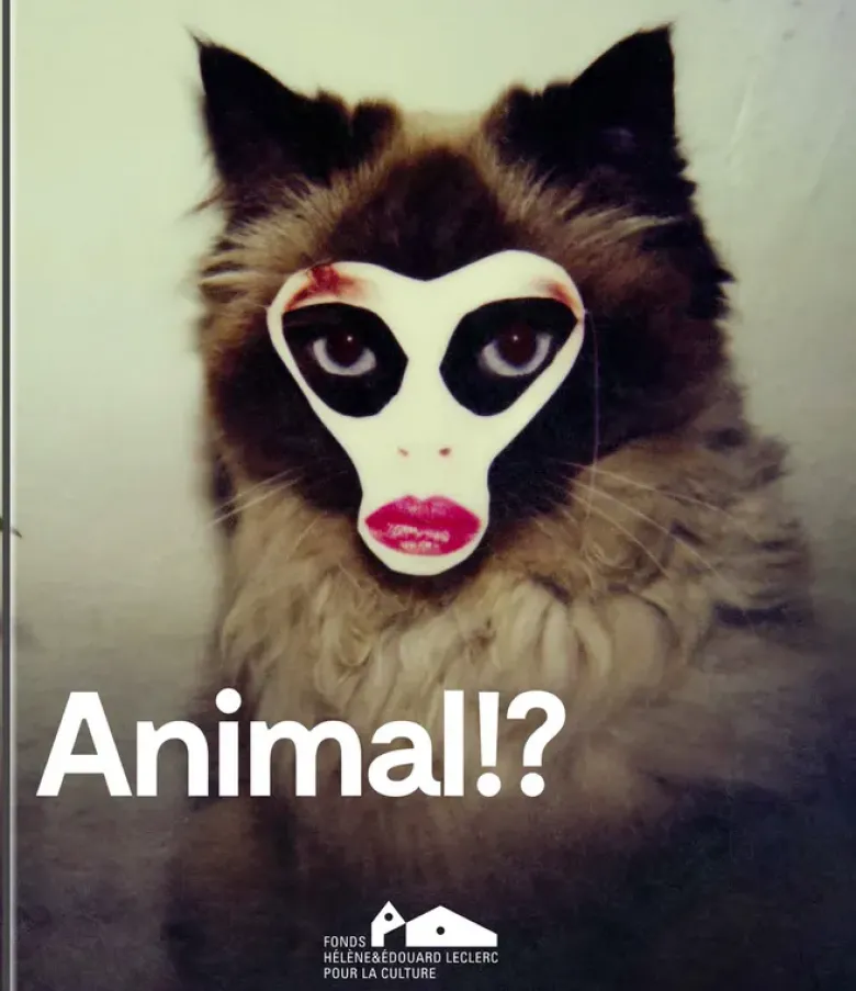 Animal?