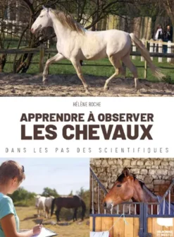 Apprendre à observer les chevaux