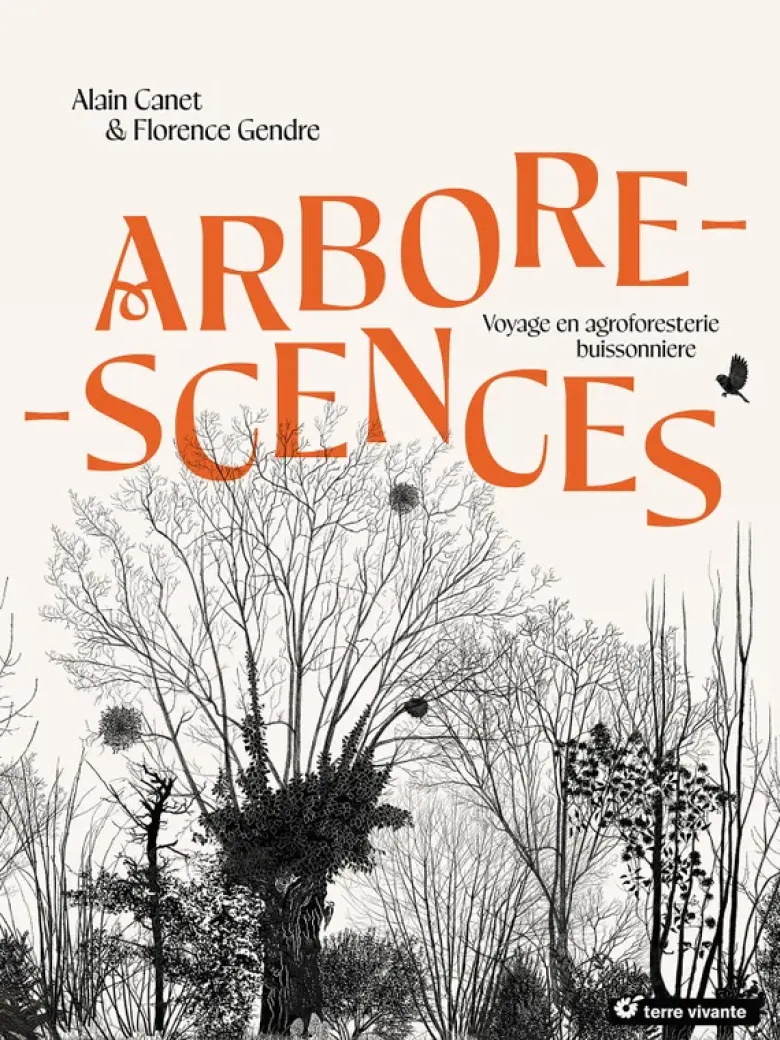 Arborescences