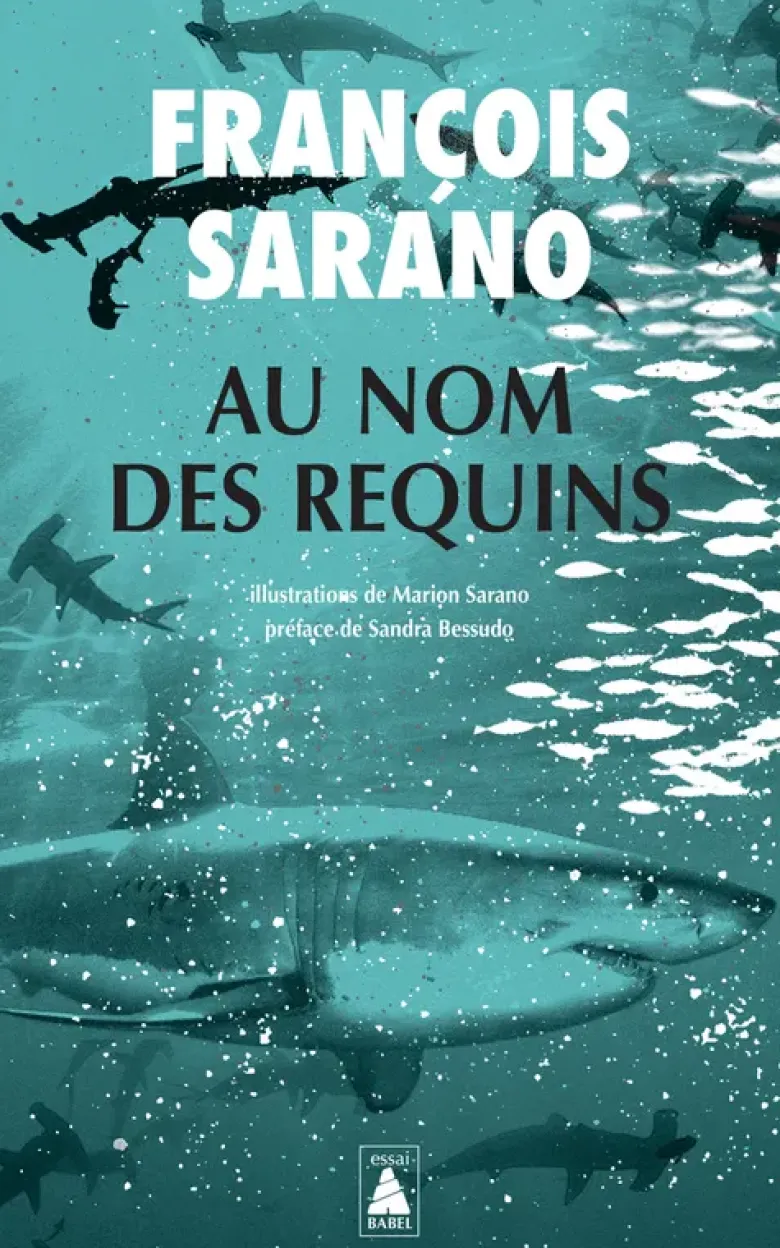 Au nom des requins
