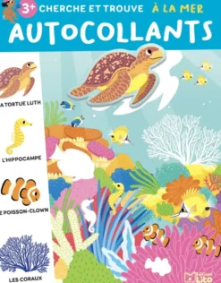 Auto Cher Et Tr A La Mer