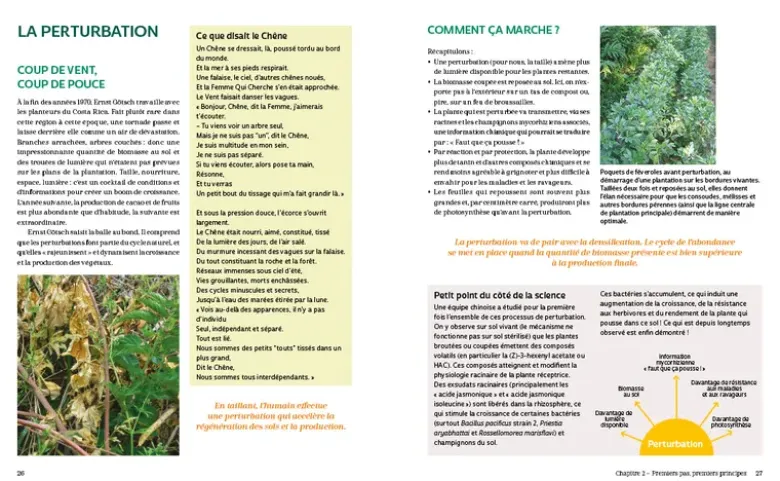 Bienvenue en syntropie