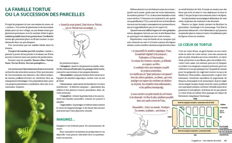Bienvenue en syntropie