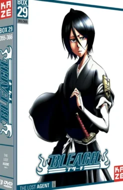 bleach box 29