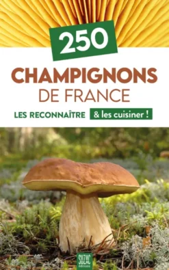 250 champignons de France