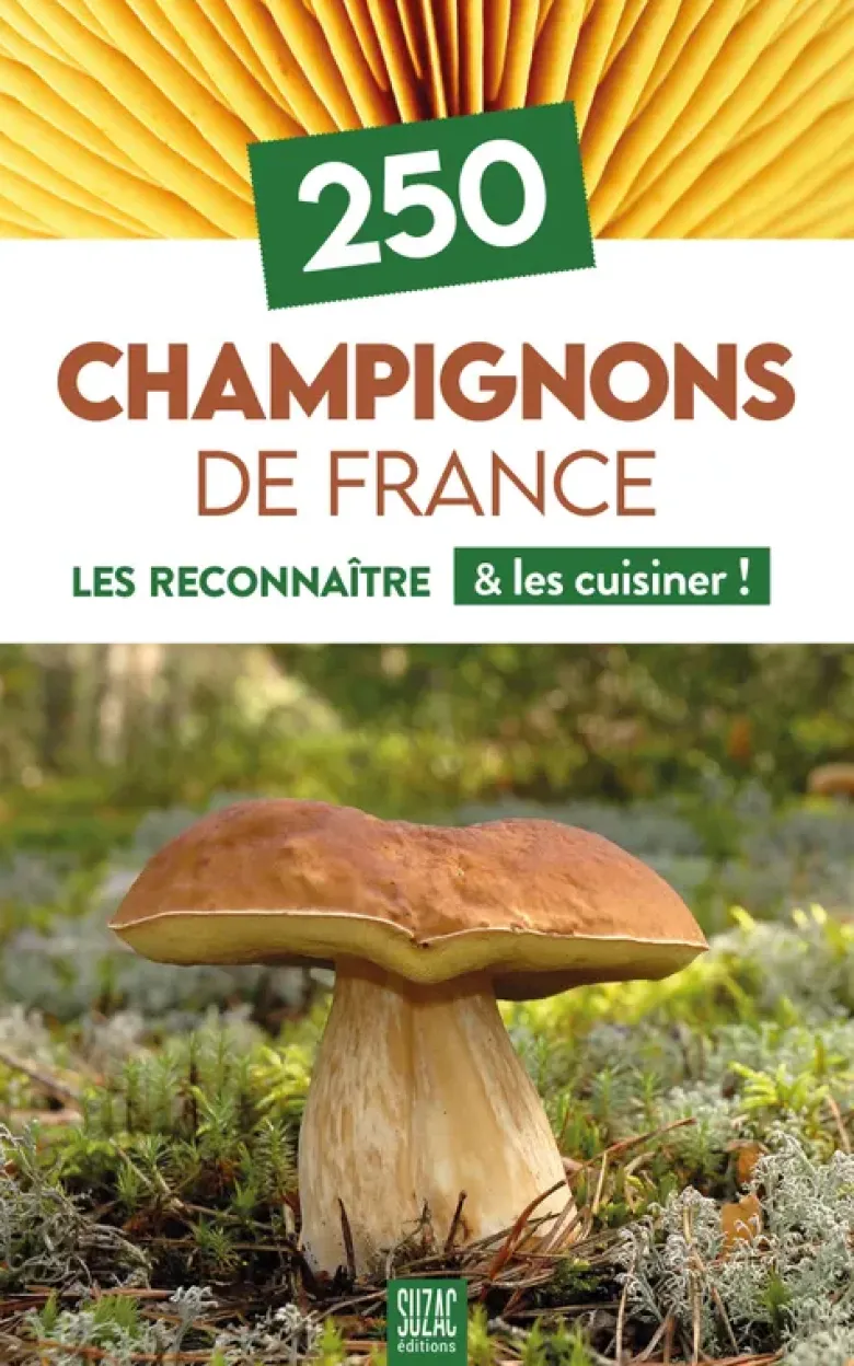 250 champignons de France