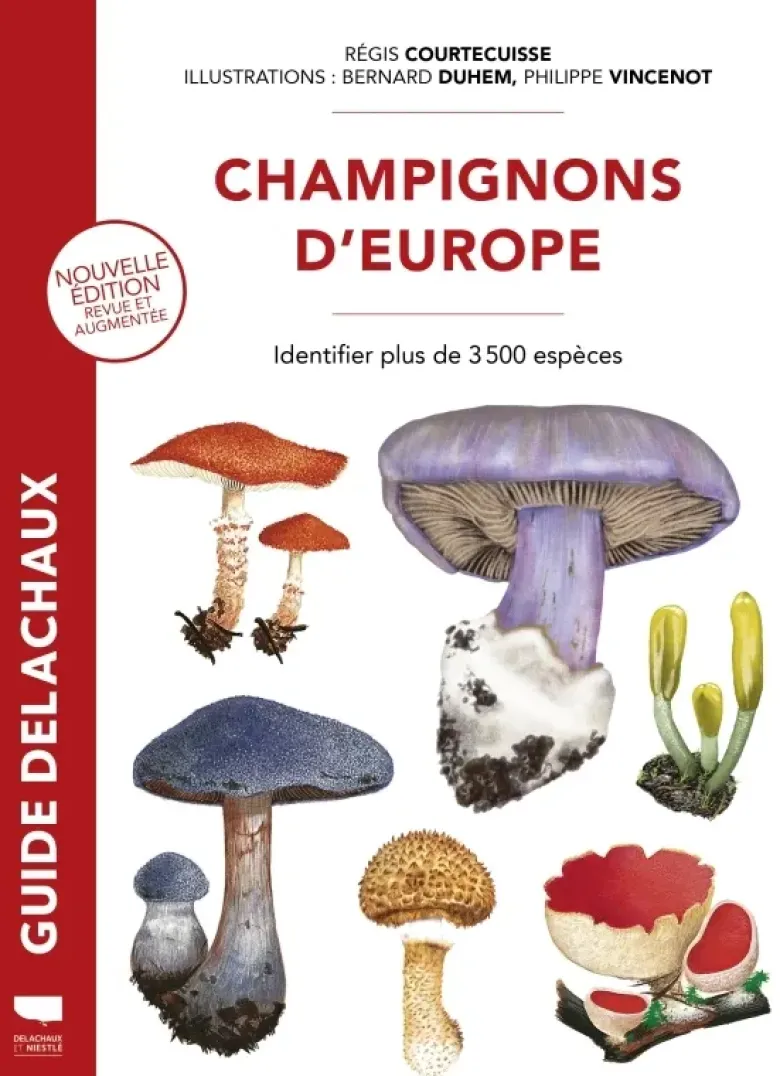 Champignons d'Europe
