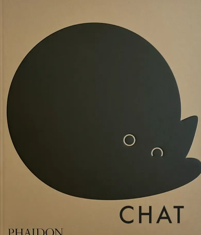 Chat