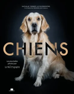 Chiens