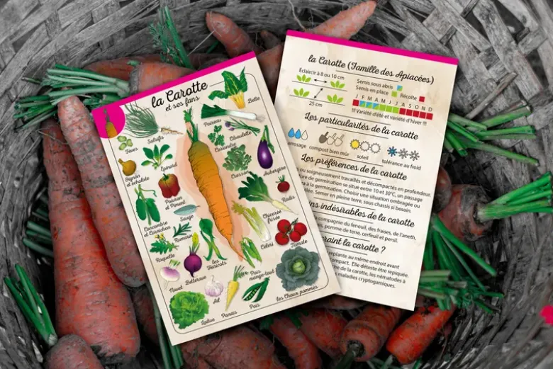 Coffret Le petit potageur