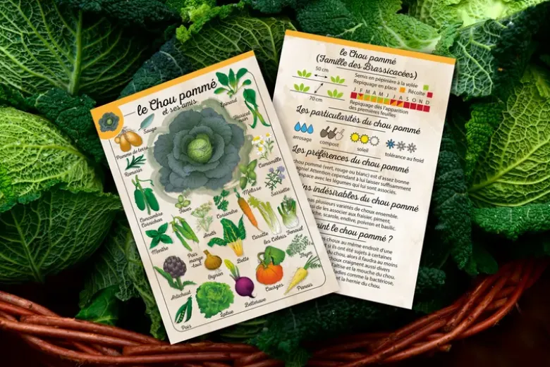 Coffret Le petit potageur