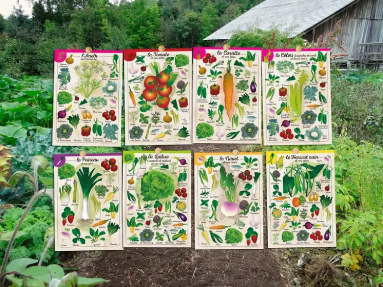 Coffret Le petit potageur
