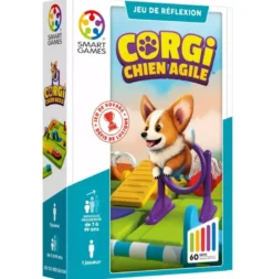 Corgi chien agile