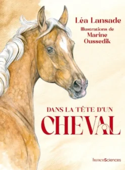 Dans la tête d'un cheval