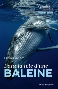 Dans la tête d'une baleine