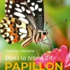 Dans la tête d'un papillon