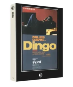 Dingo