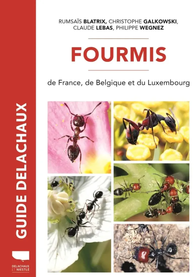 Fourmis de France
