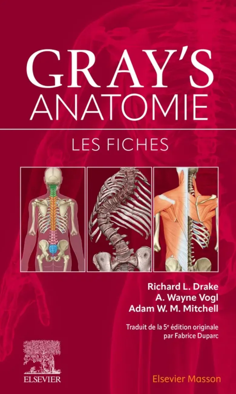 Gray's Anatomie - Les fiches