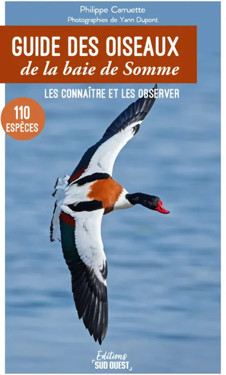 Guide des oiseaux de la baie de Somme