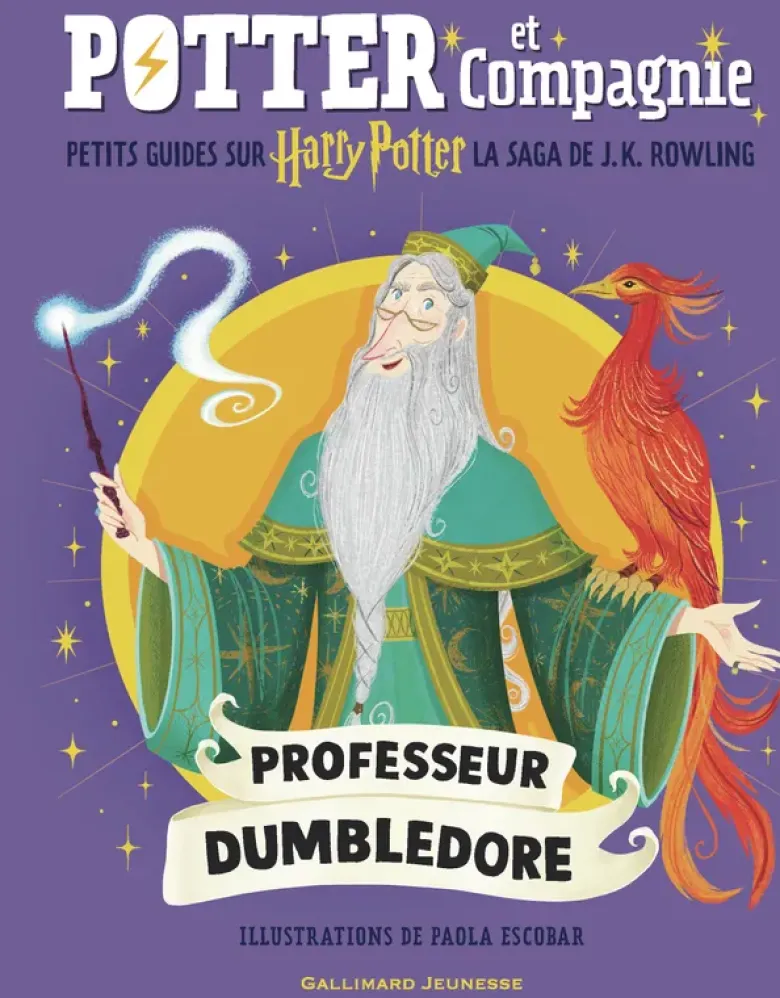Harry Potter - Potter et Compagnie - Professeur Dumbledore