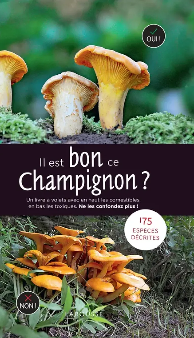 Il est bon ce champignon ?