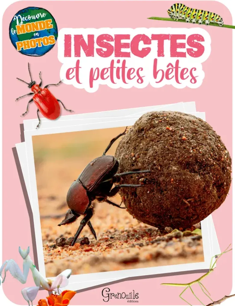 Insectes et petites bêtes