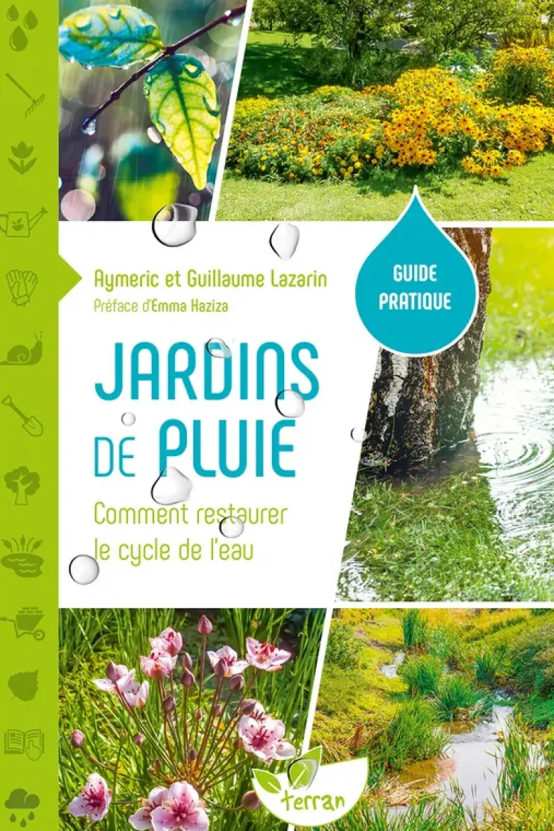 Jardins de pluie – Comment restaurer le cycle de l’eau