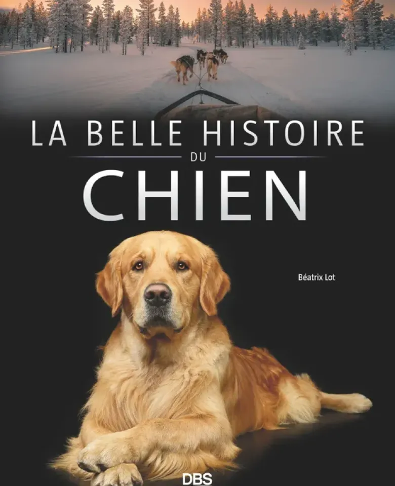 La belle histoire du chien
