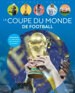 La coupe du monde de football