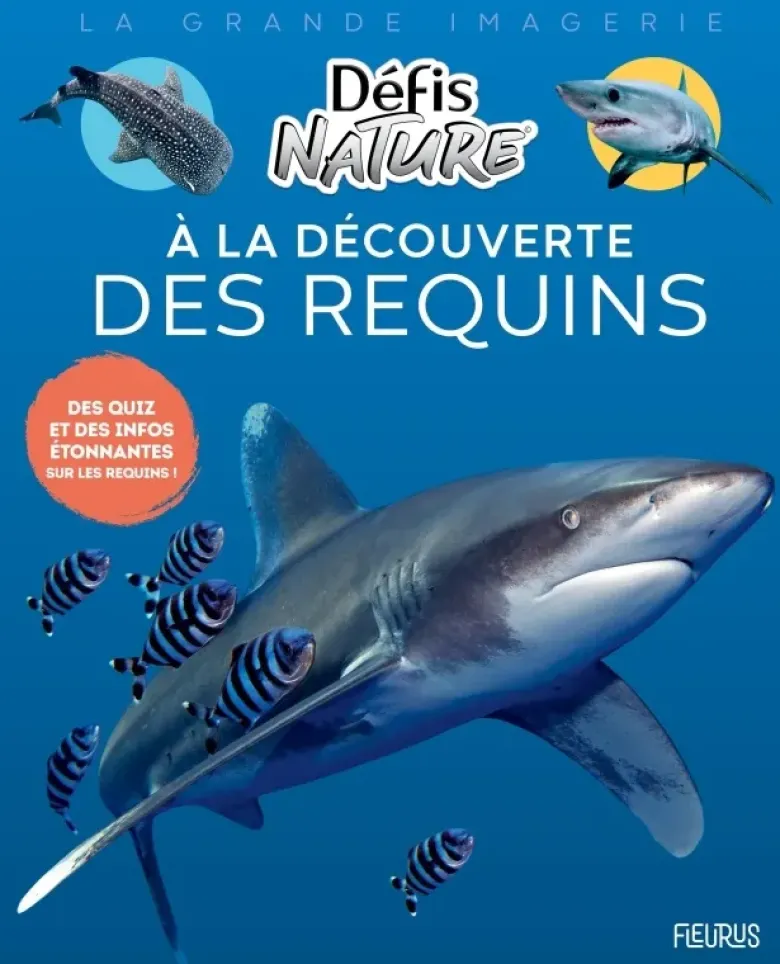 À la découverte des requins